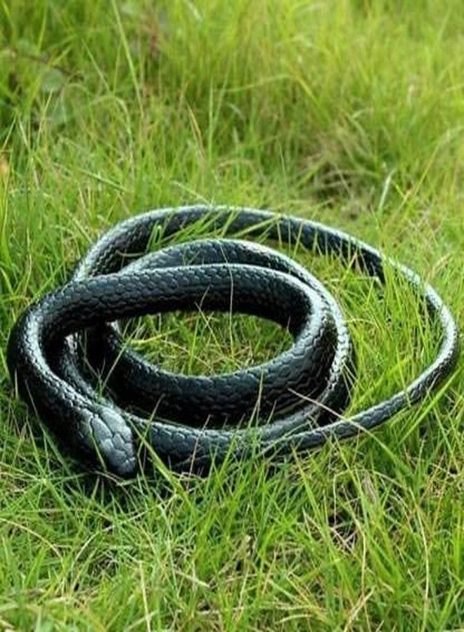 LUDALY Rubber Snake Toy for Kids Realistic Prank Toy for Fun Scary Outdoor Play Snake Toys for Halloween Party and Decorations (Pack of 1) - Image 2